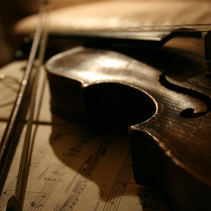 violin